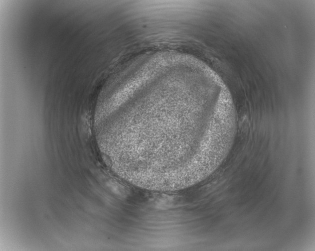 X0000068720772200605121451