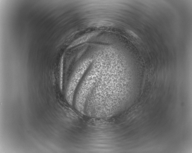 X0000068720774200605121451