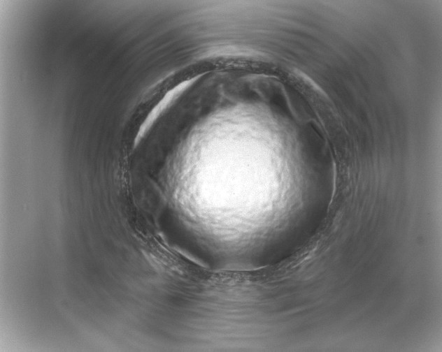 X0000068720775200605121451