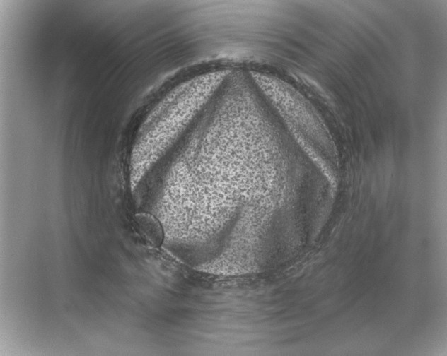 X0000068720776200605121451