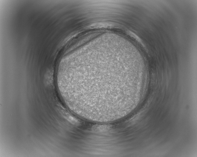 X0000068720778200605121451