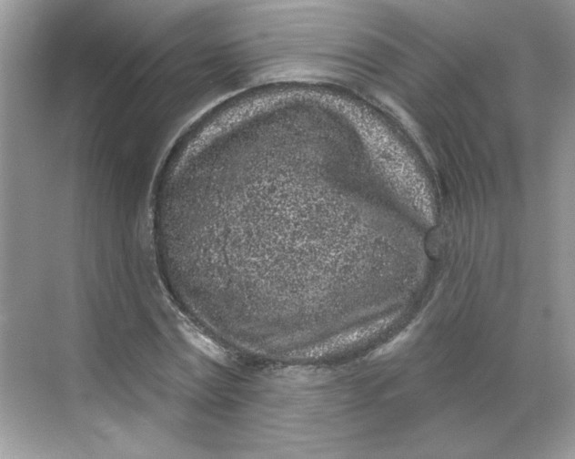 X0000068720779200605121451