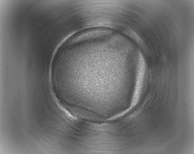 X0000068720780200605121451