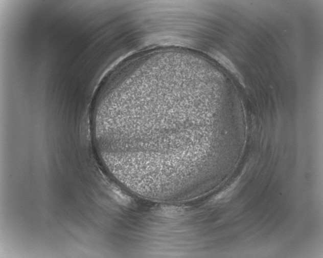 X0000068720782200605121451