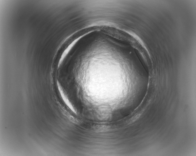 X0000068720783200605121451