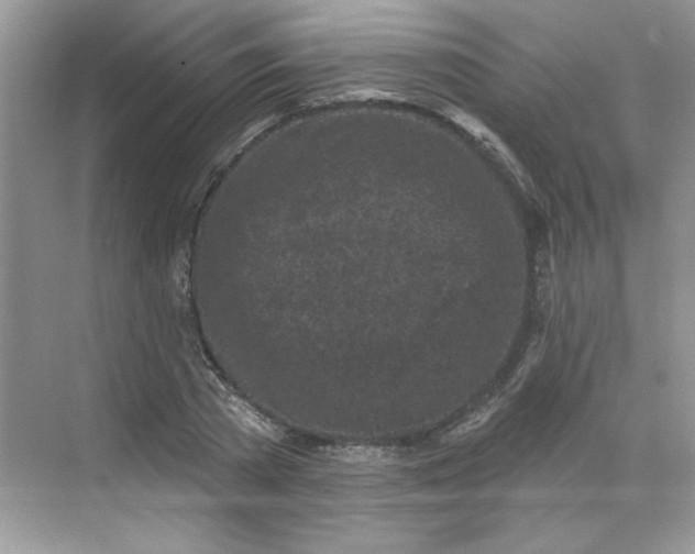 X0000068720785200605121451