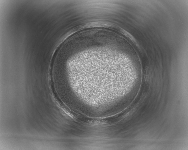 X0000068720786200605121451