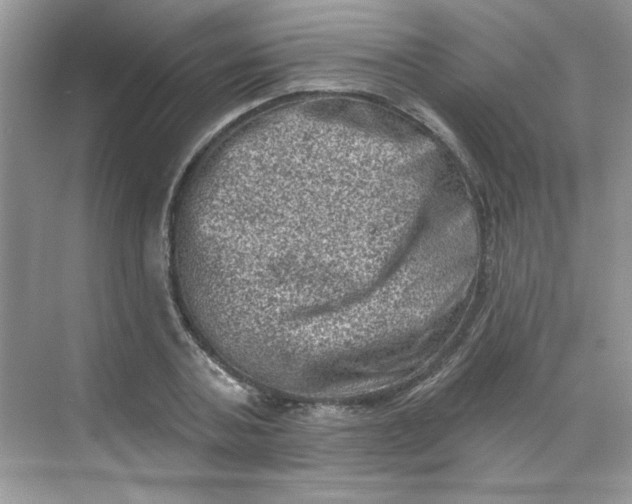 X0000068720787200605121451