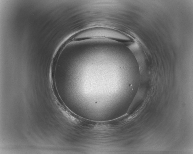 X0000068720788200605121451