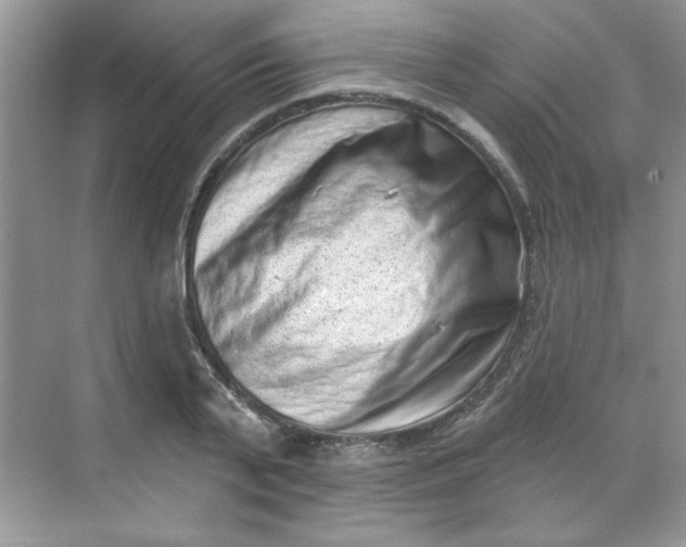 X0000068720791200605121451