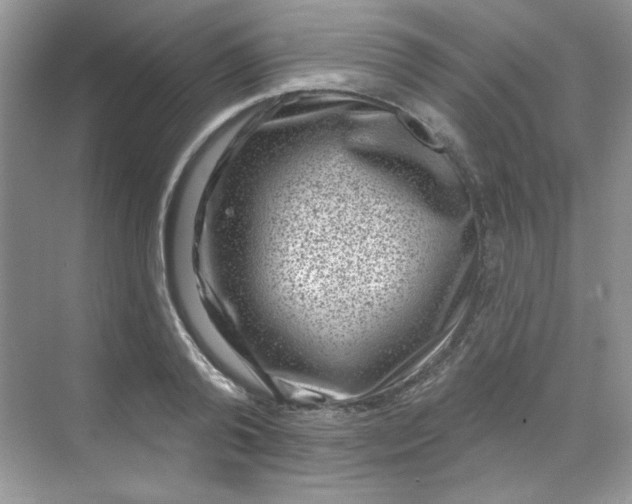 X0000068720792200605121451