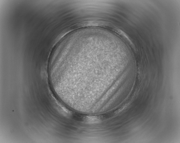 X0000068720794200605121451