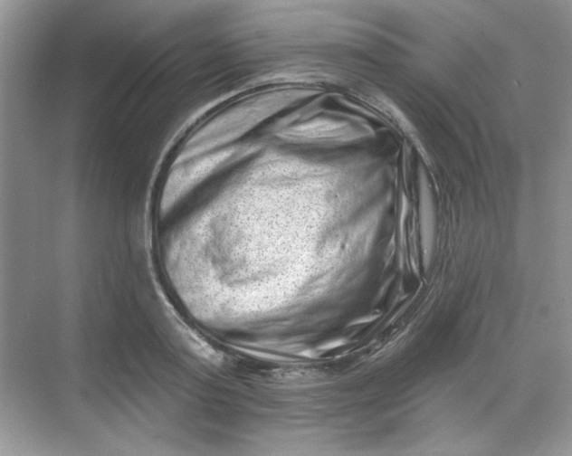 X0000068720795200605121451