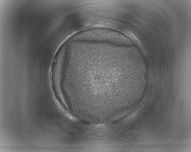 X0000068720798200605121451