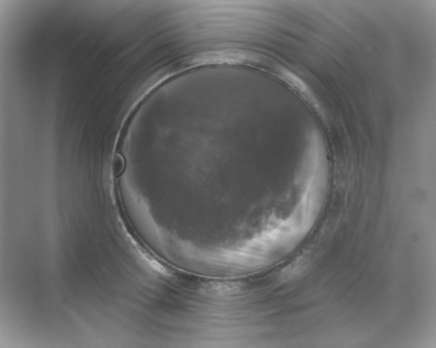 X0000068720802200605121451