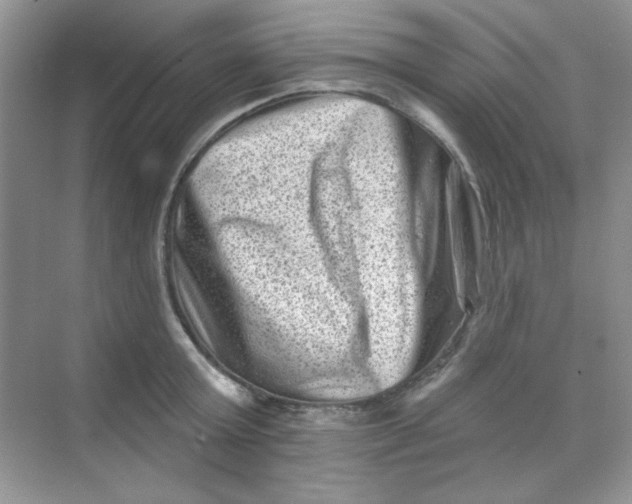 X0000068720803200605121451