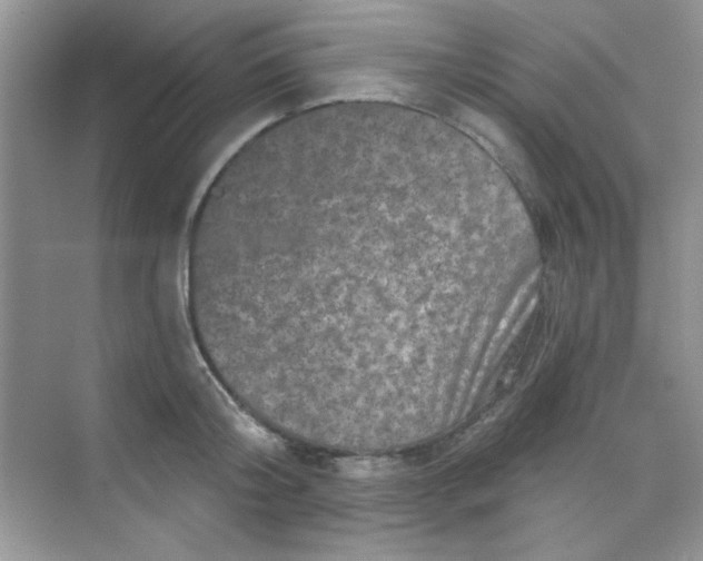 X0000068720804200605121450