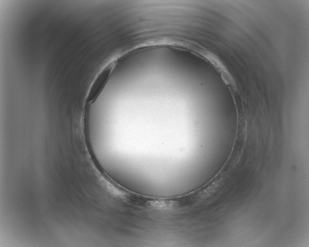 X0000068720805200605121450