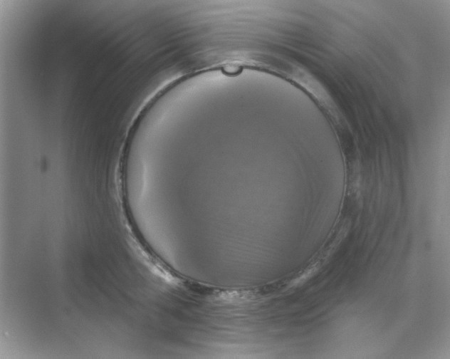 X0000068720806200605121450