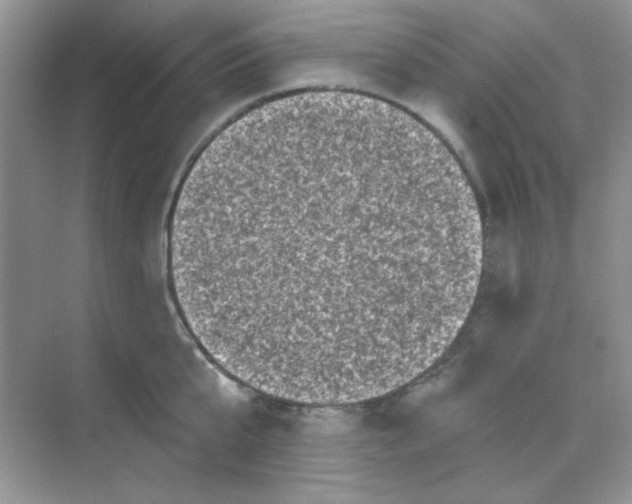 X0000068720807200605121450