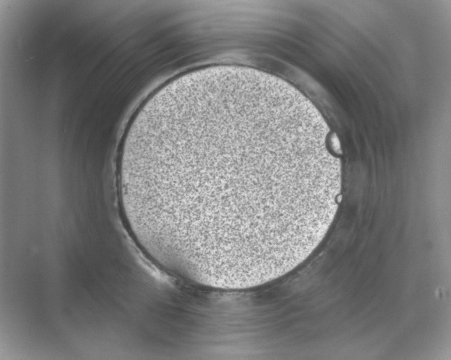 X0000068720808200605121450