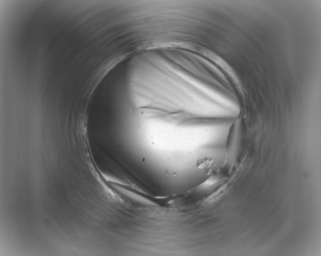 X0000068720809200605121450