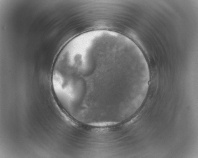 X0000068720810200605121450