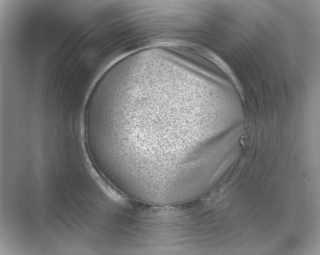 X0000068720811200605121450