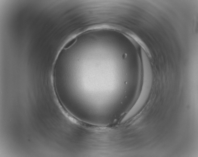 X0000068720813200605121450