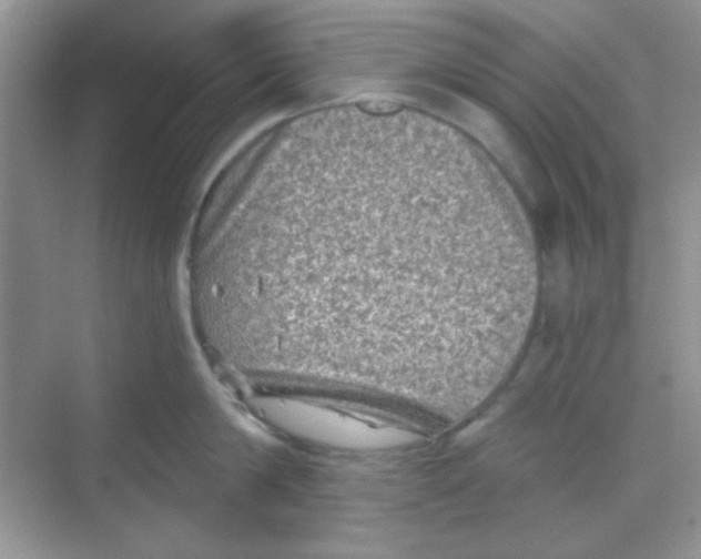 X0000068720814200605121450