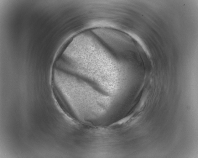 X0000068720815200605121450