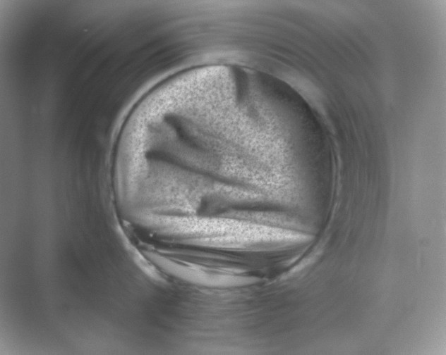 X0000068720816200605121450