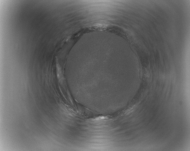 X0000068720818200605121449