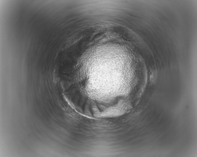 X0000068720819200605121450