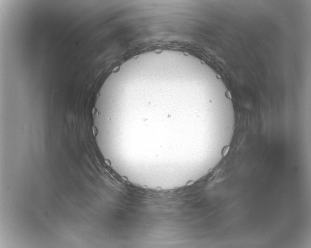 X0000068720820200605121450