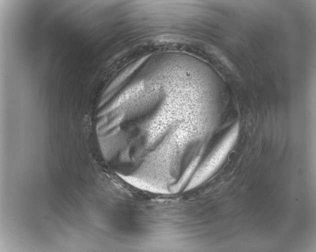 X0000068720821200605121450