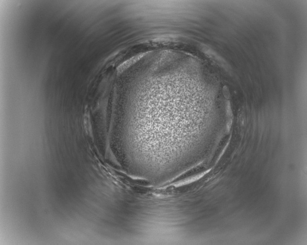 X0000068720822200605121450