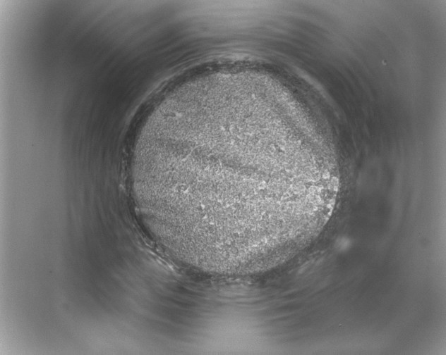 X0000068720823200605121450