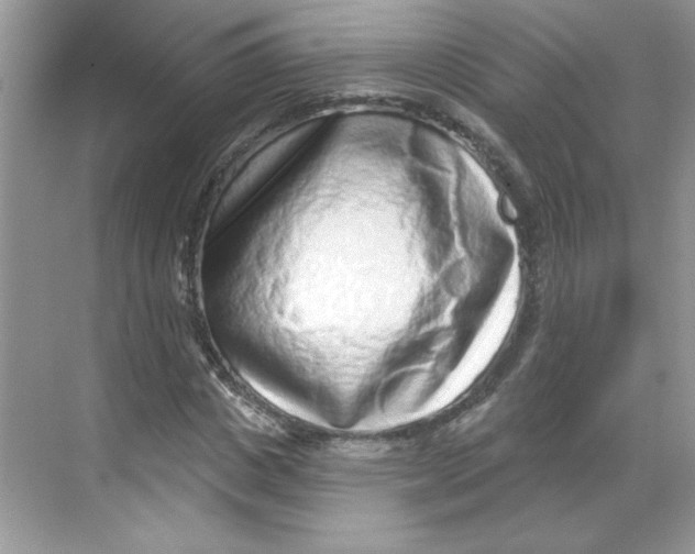 X0000068720825200605121450