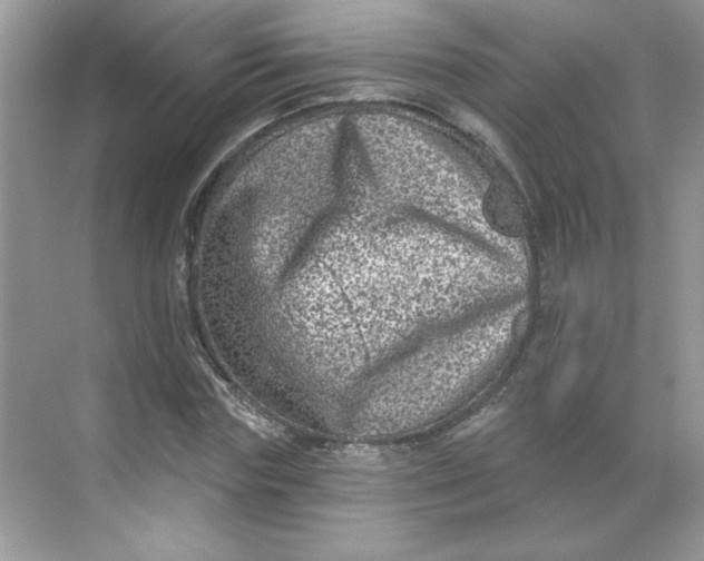 X0000068720827200605121450