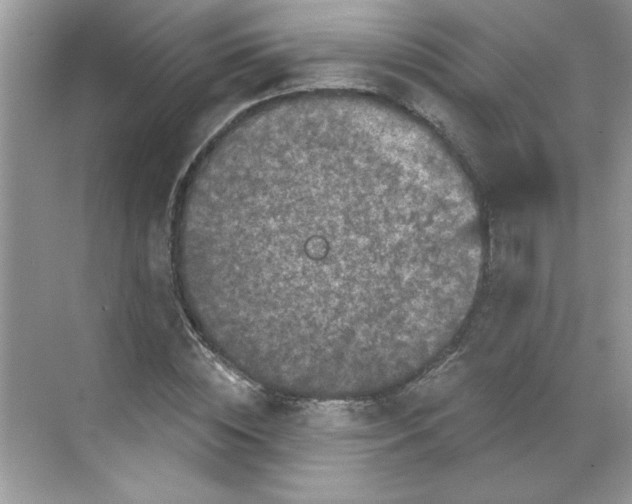 X0000068720828200605121450