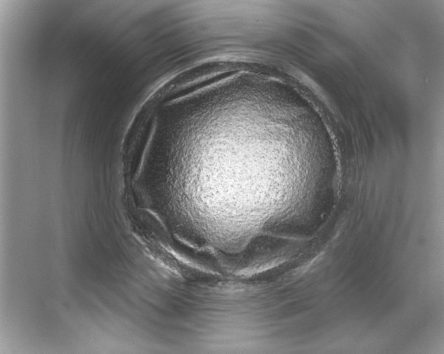 X0000068720829200605121450