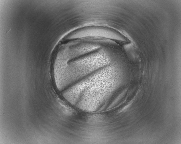 X0000068720830200605121450