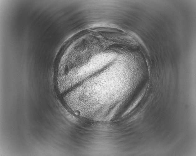 X0000068720831200605121450