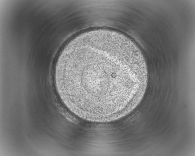 X0000068720832200605121450