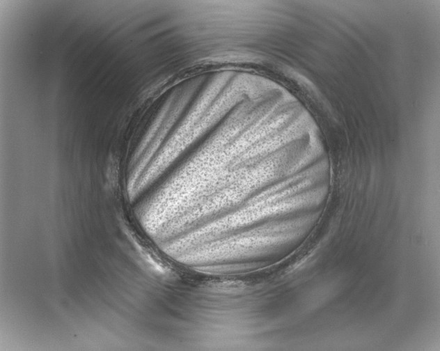 X0000068720833200605121450