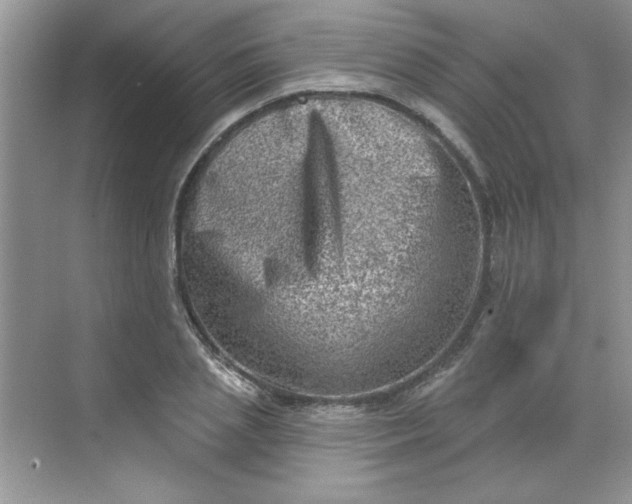 X0000068720837200605121450