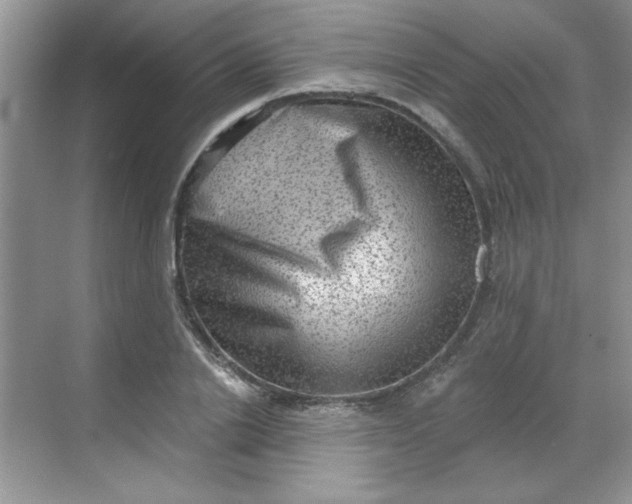 X0000068720838200605121450