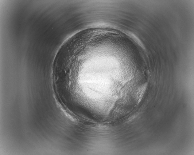 X0000068720839200605121450