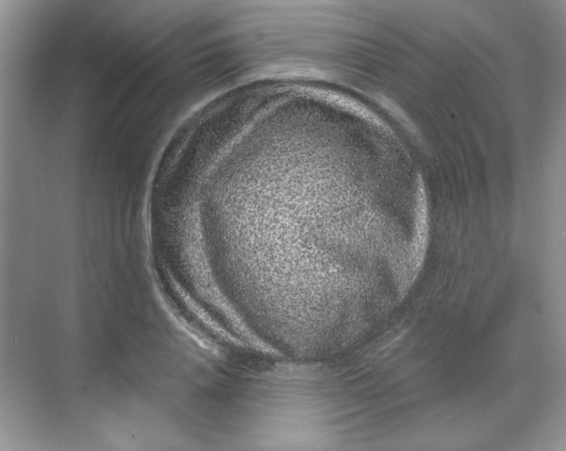 X0000068720840200605121450